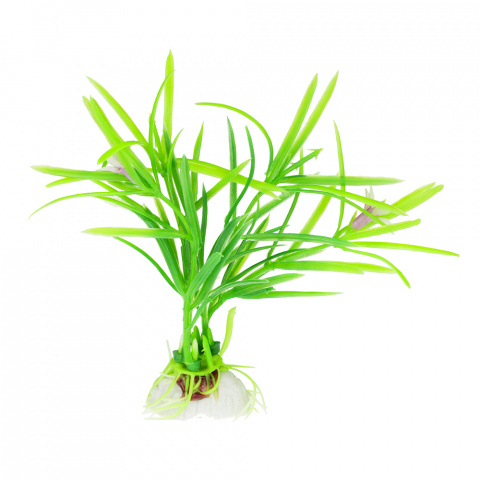 Растение зеленое с цветком 8см