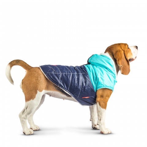 Куртка с капюшоном для собак L синий (унисекс) 1
