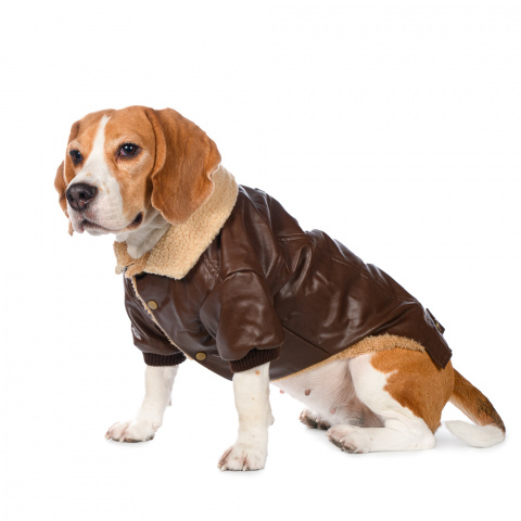 Куртка из кожзама для собак XL коричневый (унисекс) 1