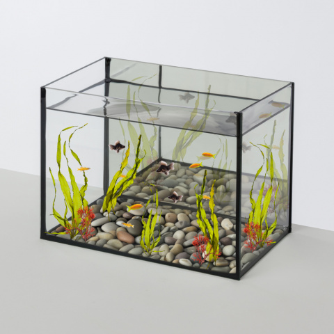 Fish tank hot sale price list