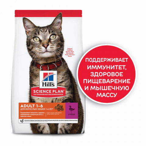 Science Plan Сухой корм для взрослых кошек для поддержания жизненной энергии и иммунитета, с уткой, 300 гр. 2