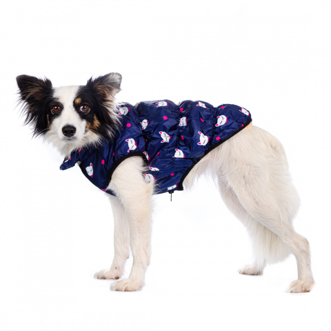 Куртка для собак XL синий (унисекс)