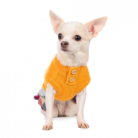 Платье-свитер для кошек и собак XS желтый (унисекс) 1