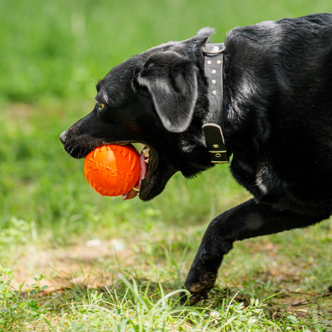 Игрушка для собак Мяч диаметр 8,5 см средний оранжевый, для собак средних пород (снаряд) 1
