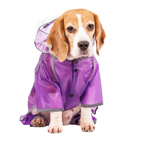 Дождевик для собак с ножками 3XL фиолетовый (унисекс) 1