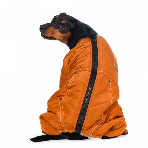 Комбинезон для собак на молнии оранжевый 1