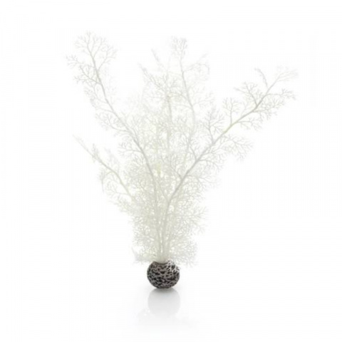 Растение Морской веер (горгонария) L белый