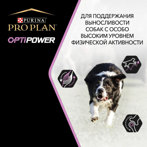 Opti Power сухой корм для взрослых собак при больших физических нагрузках с курицей, 14 кг 3