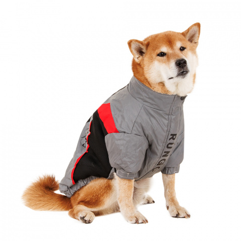Куртка на молнии для собак крупных пород Карликовый пинчер, Джек Рассел, Бигль 46x66x43см 3XL серый (унисекс) 1