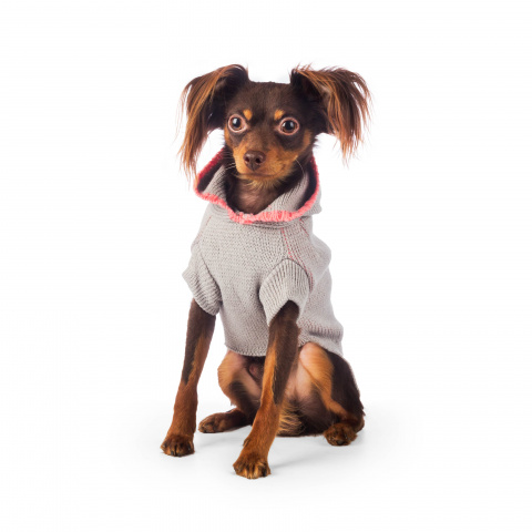 Свитер с капюшоном для собак 40см XL серый (унисекс) 2