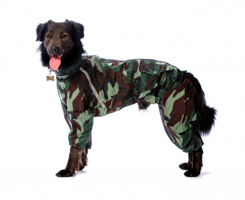 Комбинезон теплый для собак Такса средняя XL камуфляж (мальчик)