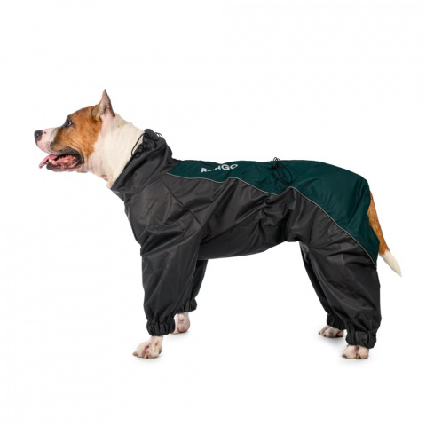 Дождевик для собак мальчиков Французский бульдог, зеленый, длина спины 40 см, обхват шеи 50 см, обхват груди 68 см
