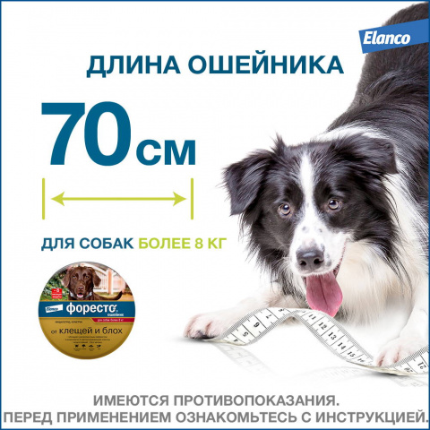 Foresto ошейник для собак весом более 8 кг от блох и клещей, 70см 12