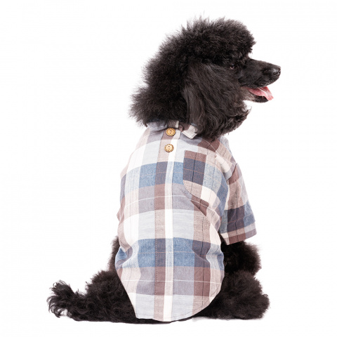 Рубашка с бантиком для собак 2XL голубой (унисекс) 1