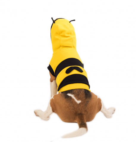 Костюм карнавальный для собак Пчёлка L желтый (унисекс) 1