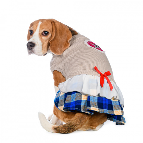 Платье-свитер для кошек и собак 2XL бежевый (унисекс)