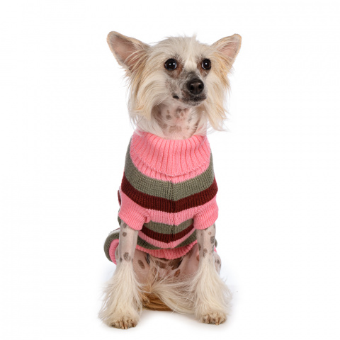 Свитер для собак в полоску розовый с аппликацией 35см 1