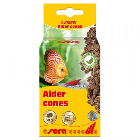 Ольховые шишки Аlder cones 50 шт