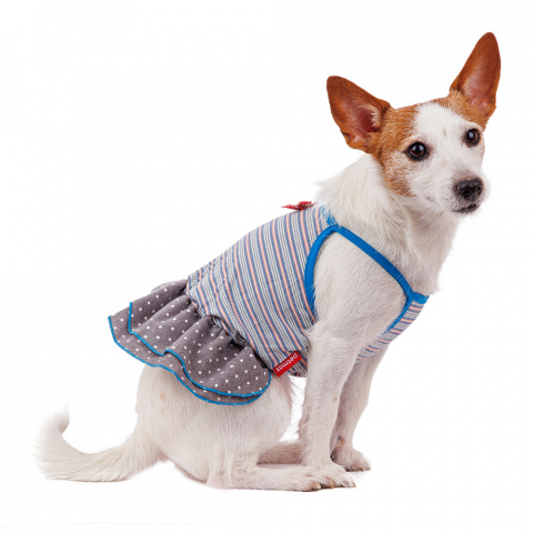 Платье для собак с бантиком M голубой (девочка)