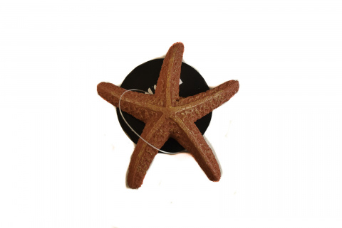 Декорация пластиковая для аквариума Морская звезда, 8х7,5х1,5 см