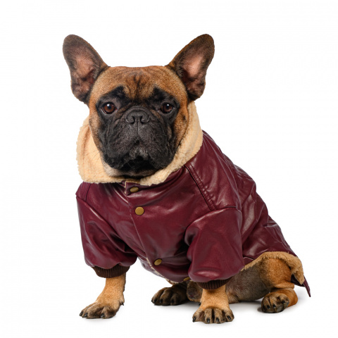 Куртка из кожзама для собак S бордовый (унисекс)