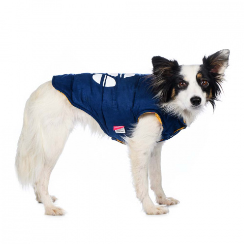 Куртка двухсторонняя для собак M синий (унисекс) 10