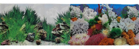 Фон двусторонний для аквариума Морской пейзаж и Подводный рельеф, 50х100 см