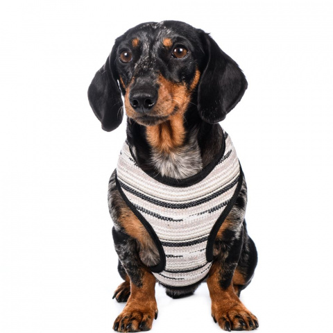 Шлейка для собак XL, серая, обхват груди: 58-78 см