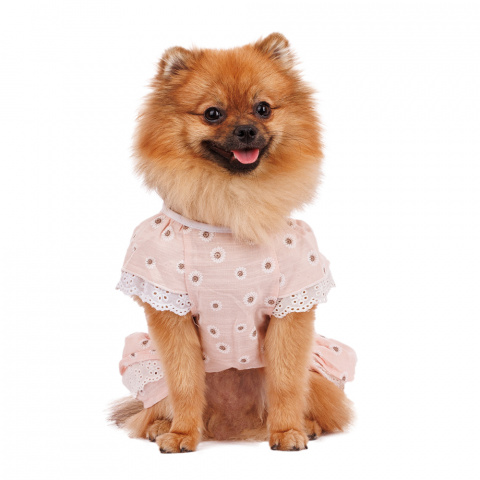 Платье для собак с ромашками M розовый (девочка) 2
