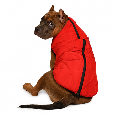Куртка для собак на молнии красная