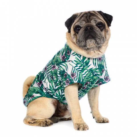Рубашка для собак с листьями XS зеленый (унисекс) 2
