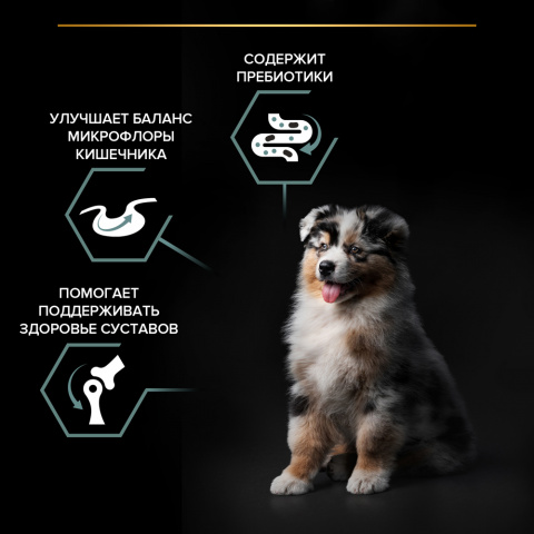 Sensitive Digestion Puppy Сухой корм для щенков средних пород с чувствительным пищеварением, с ягненком, 3 кг 4