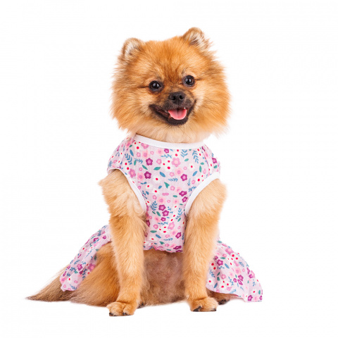 Платье для собак в цветочек S фиолетовый (девочка) 1
