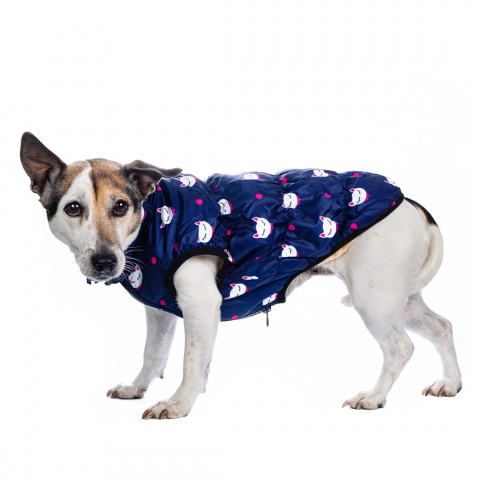 Куртка для собак XL синий (унисекс) 6