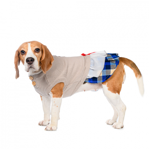 Платье-свитер для кошек и собак 2XL бежевый (унисекс) 2