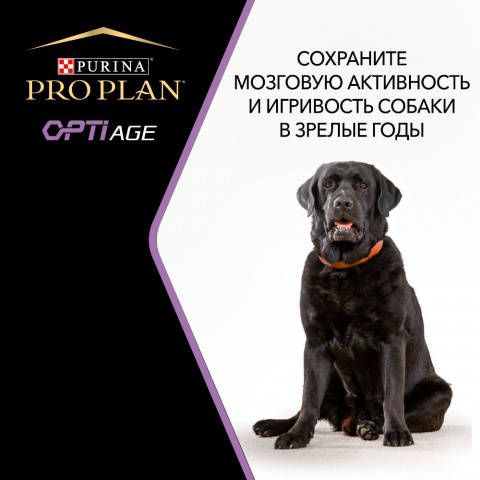 Opti Age сухой корм для пожилых собак для средних и крупных пород для поддержки мозговой активности с курицей, 3 кг 4