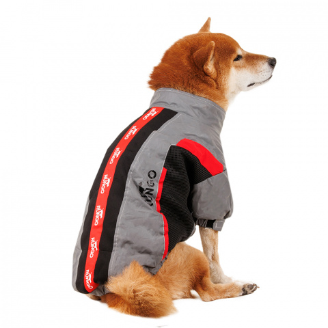 Куртка на молнии для собак средних пород Карликовый пинчер, Джек Рассел, Бигль 37x54x35см XL серый (унисекс)
