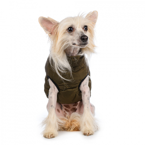Куртка на молнии для собак L зеленый (унисекс) 1