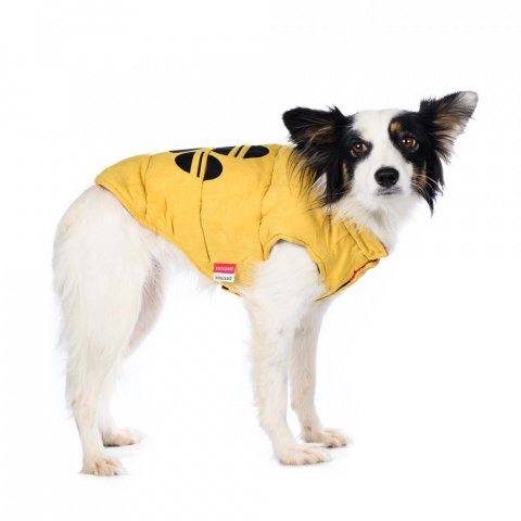 Куртка двухсторонняя для собак M желтый (унисекс) 4
