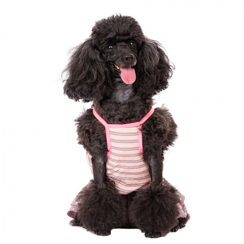Платье для собак с бантиком M розовый (девочка) 2
