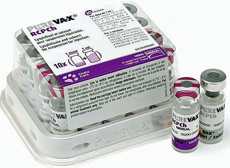 Merial Пуревакс RCPCH вакцина для защиты кошек от ринотрахеита,калицивирусной инфекции, панлейкопении и хламидиоза, 1 доза 1