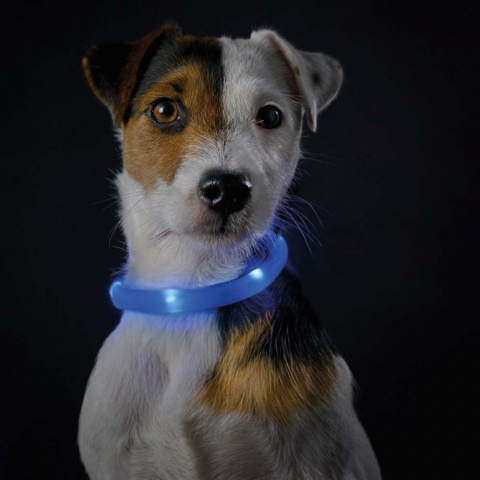 Светящийся шнурок на шею для собак LED Yukon голубой 2