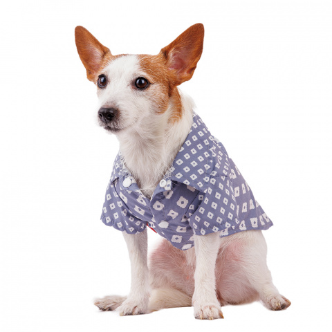 Рубашка для собак XL голубой (унисекс) 1