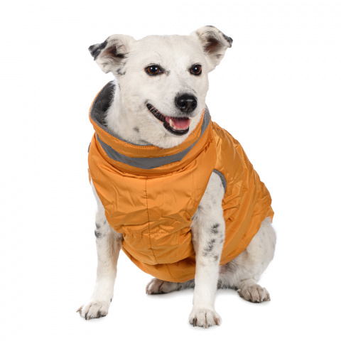 Куртка на молнии для собак 2XL желтый (унисекс) 1