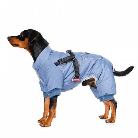 Комбинезон со шлейкой для собак XL голубой (унисекс)