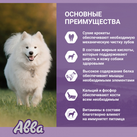 Premium Sensitive Adult All Breeds Сухой корм для взрослых собак всех пород с чувствительным пищеварением, индейка и рис, 3 кг 1