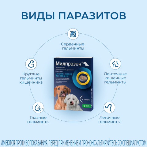 Милпразон Антигельминтные таблетки для собак и щенков весом до 5 кг, 2 таблетки 5
