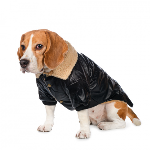 Куртка из кожзама для собак 2XL черный (унисекс)