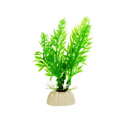 Растение зеленое без цветов 8см