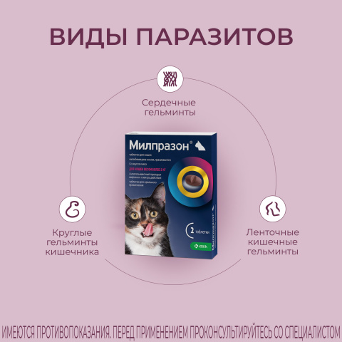 Милпразон Антигельминтные таблетки для кошек весом более 2 кг, 2 таблетки 5